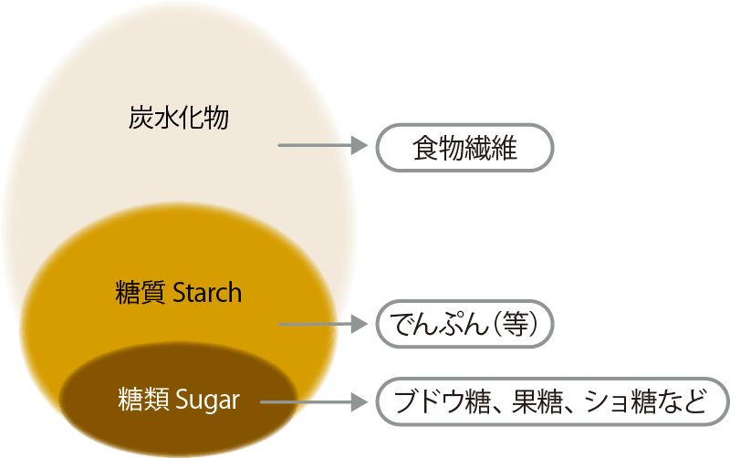 炭水化物・糖質・糖類の模式図