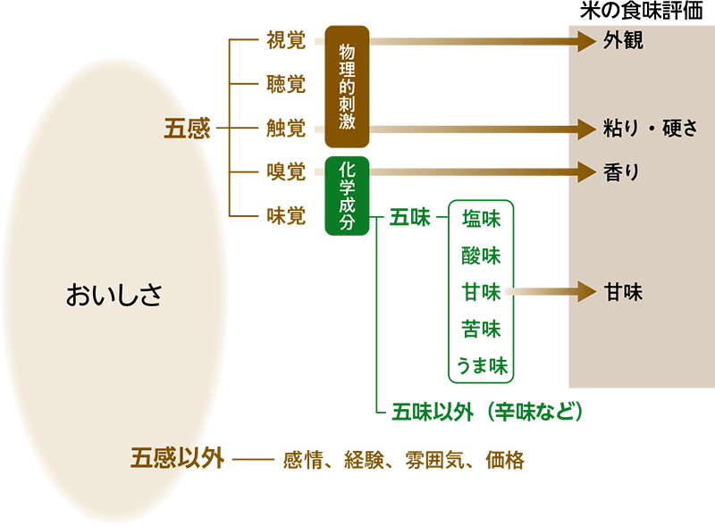 おいしさとは