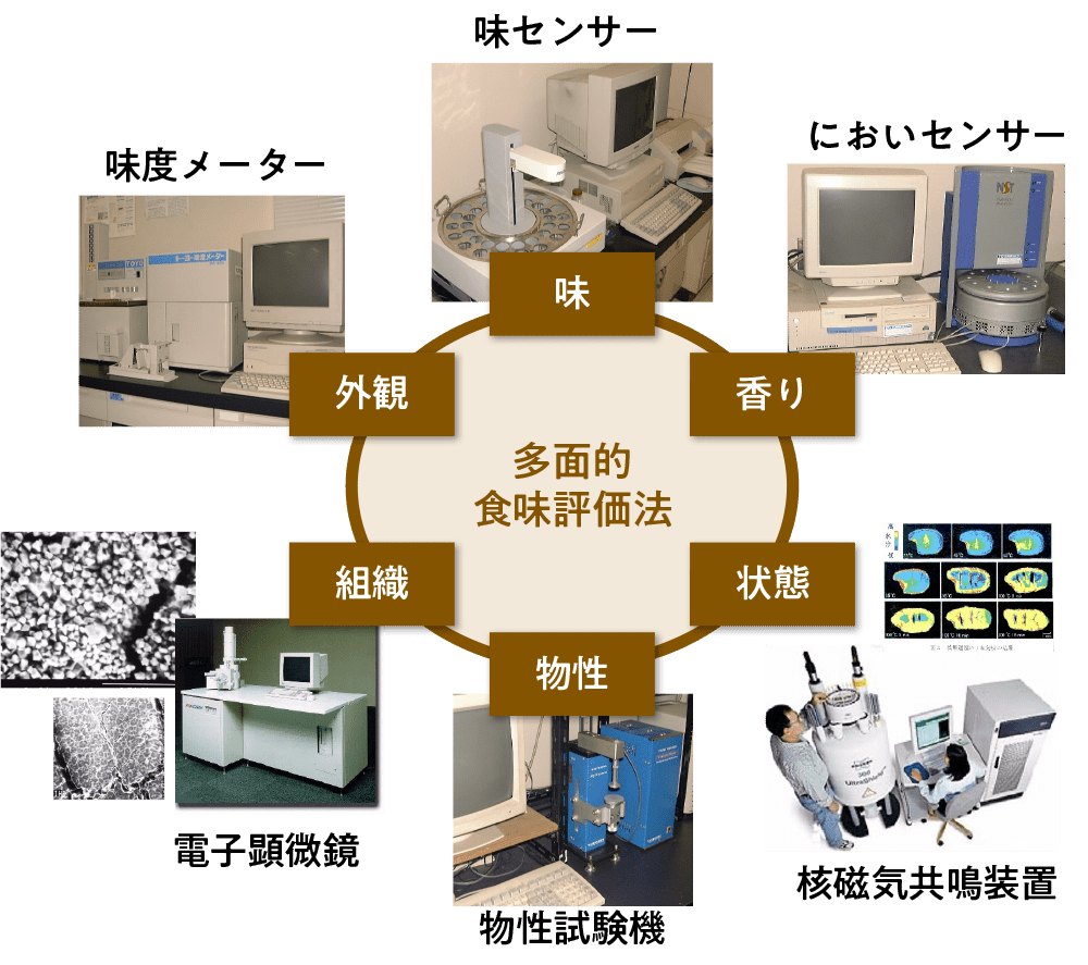 各種の機器を用いる米の食味の多面的理化学測定の例