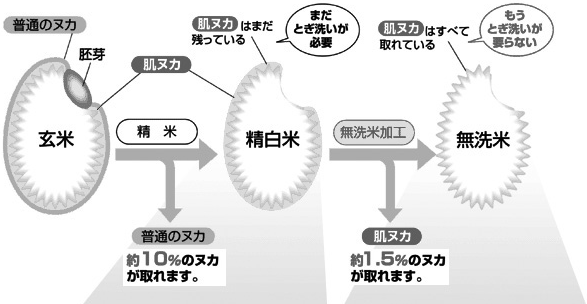 BG 製法