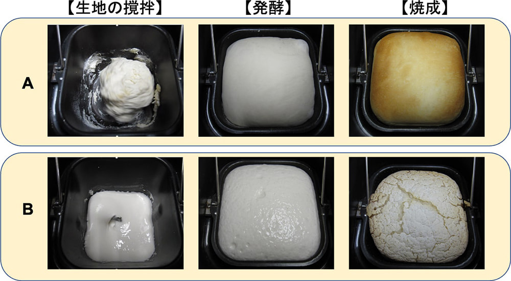 パン製造工程の比較